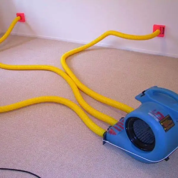 Professional drying equipment